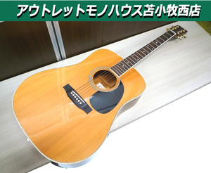 現状品 アコースティックギター アコギ ギター アリア ARIA IW301 中古 苫小牧西店