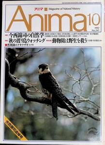 アニマ　1992年10月号　No.241　今西錦司追悼号　今西錦司の自然学　秋の渡り鳥　動物園　ナキウサギ　平凡社　YB230508M1