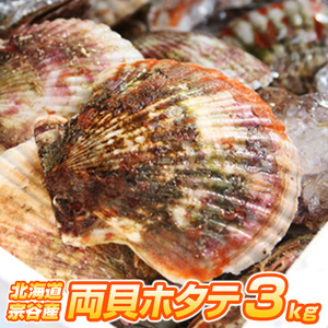 【北海道産】ホタテ 3kg | 宗谷地方 12～18枚前後 冷凍 両貝ホタテ 帆立 殻付きホタテ 貝付きホタテ 北海道産帆立 母の日 父の日