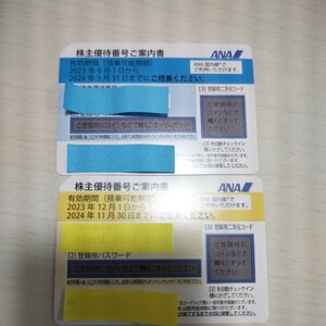 飛行機 ANA　株主優待（５月３１日まで１枚と１１月３０日まで１枚合計２枚セット）