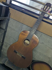 KODAIRA AST40 クラシックギター