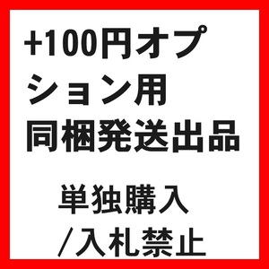 [専用] 同梱発送商品+100円オプション 単独購入/入札禁止 2