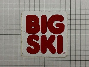 外国 古いステッカー：BIG SKI スキー ウインタースポーツ 雪 アウトドア ビンテージ 海外 +Ab