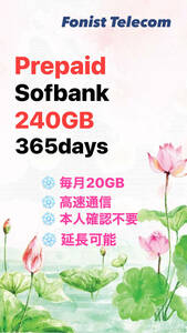 毎月20GB / 365days （初月無料　合計 260GB) - 日本国内用 データ通信SIMカード