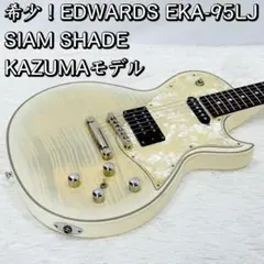 希少！EDWARDS EKA-95LJ SIAM SHADE  カズマモデル