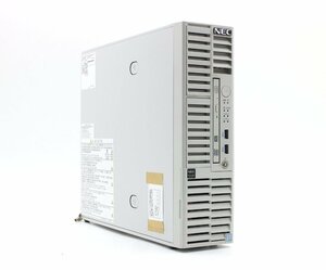 NEC Express5800/T110i-S水冷 Xeon E3-1260L v5 2.9GHz 8GB 300GBx2台(SAS2.5インチ/12Gbps/RAID1構成) DVD+-RW MegaRAID MR9362-8i 1GB