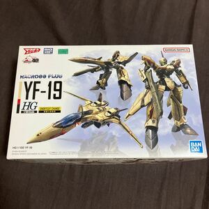 1円スタートですバンダイmacros plusマクロスモデラーズ　HGマクロスプラス 1/100 YF-19 イサム・ダイソン機 の空き箱