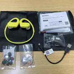 【美品】SONY WALKMAN 4GB NW-WS623G ライムグリーン