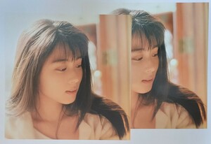 ZARD forever you 1995 ジャケスリ 坂井泉水 非売品 店頭用 PROMO ジャケットスリック ピンナップ ポスター