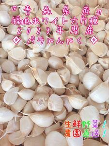 青森県産にんにく 福地ホワイト六片種 2023年度 ニンニク バラにんにく 1キロ 