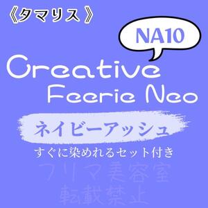 NA10 ファッションカラー　セット　ロング　ヘアカラー　ネイビーアッシュ