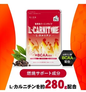 ダイエット 燃焼系サポートサプリ L-カルニチン＋BCAA配合 30日分 送料無料 サプリメント L-アルギニン L-リジン L-シトルリン L-ヒスチ