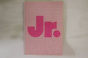 Memorabilia Tour Book Johnnys Jr. Spring Concert 1999 JOHNNYSJR1999 J-STATION /00300