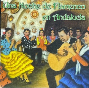 (C11H)☆フラメンコギターコンピ/Una Noche de Flamenco en Andalucia/サビーカスほか☆