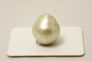 南洋白蝶真珠パールルース　16×14mm　ホワイトグリーンカラー