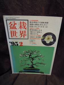 A4-7　雑誌　盆栽世界　1995年2月　根でつくる　山ももじ　杜松　真柏づくし　ハサミづくり