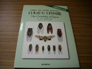 ・日本産セミ科図鑑　林正美・税所康正/編著　全種鳴き声CD付　2011年　