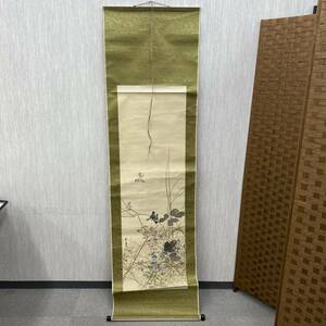 #10828　掛け軸　掛軸　箱あり　美術品　作家不明　掛物　紙本　花　鳥　現状品