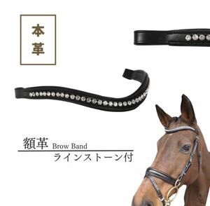 額革　馬　乗馬　ブローバンド　ブロウバンド　ラインストーン コブ 頭絡 本革 乗馬用品 馬術 馬具