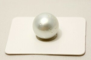 南洋白蝶真珠パールルース　13mm　ホワイトカラー