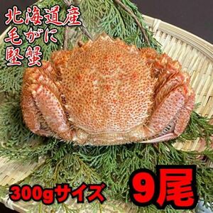 【北海道産】毛がに　9尾（300ｇサイズ）　堅蟹　毛蟹　けがに　ケガニ　蟹　かに　ボイル　母の日　父の日　お中元　お歳暮