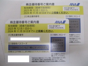 4954 ANA 株主優待券　2枚　有効期限2024年11月30日搭乗分まで