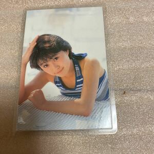 □酒井法子 ラミネートカード AMADA サンミュージック