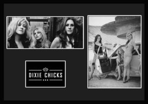 10種類!Dixie Chicks/ディクシー・チックス/ROCK/ロックバンドグループ/証明書付きフレーム/BW/モノクロ/ディスプレイ(6-3W)