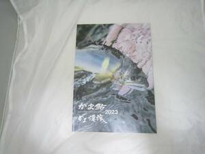 がま鮎 がま渓流 2023カタログ がまかつ 冊子 [iwj