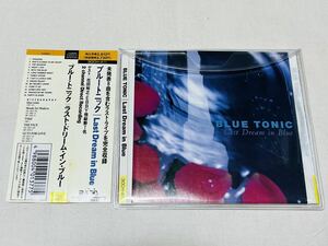 BLUE TONIC★ブルートニック★last dream in blue★30CH411★帯付き★井上富雄★キハラ龍太郎★花田裕之★スカパラ★ルースターズ