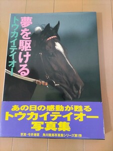 トウカイテイオー　夢を駆ける　写真集　今井寿恵　角川競馬写真集　初版