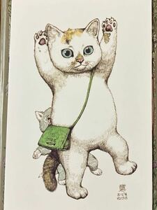 ヒグチユウコ 絵葉書 Postcards 猫 