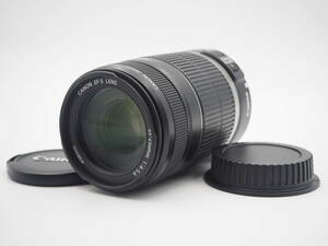 【カビ・クモリ無し美品】CANON EF-S 55-250mm F4-5.6 IS キャノン