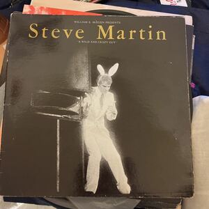 1978年作品 スティーブ・マーティン　送料無料　あ、わいるど、あんど、くれいじー、がい　綺麗傑作最高品　コメディアン　ヴィンテージ盤