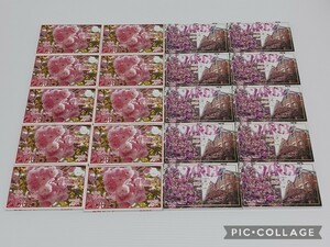 桜の通り抜け 造幣局 貨幣セット 2003年 2005年 まとめ売り 20セット