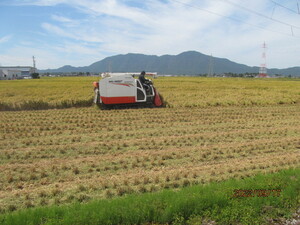 【令和5年産】新米 農薬約7割減 新潟県認証 特別栽培米 新之助 玄米紙袋25kg