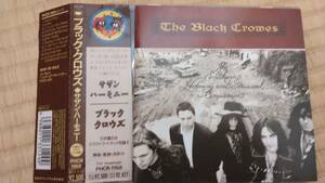 【帯付 国内盤】　THE BLACK CROWES 　THE SOUTHERNHARMONY AND MUSICAL COMPANION ブラック・クロウズ