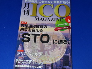 【裁断済】月刊 ICO MAGAZINE (アイシーオーマガジン) Volume6【送料込】