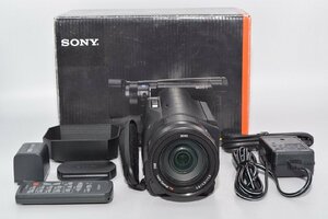 ★新品級★ SONY ソニー デジタル4Kビデオカメラレコーダー FDR-AX100