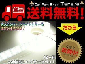 12V 普通車 船舶 漁船用 爆光３列(900連球)基盤 カバー付 LEDテープライト 白色 ホワイト 蛍光灯 航海灯 5M巻き 送料無料/4