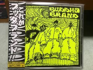 中古CD■HIPHOP/日本語■限定2枚組／BUDDHA BRAND／これがブッダブランド／2019年■DEV LARGE, CQ, NIPPS, ILLMATIC BUDDHA MC