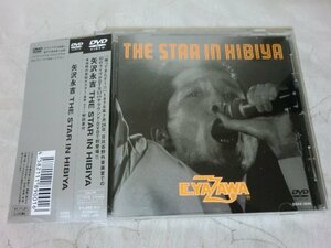 (A)【何点でも同送料/DVD/帯/ 矢沢永吉 THE STAR IN HIBIYA 24ｔｈ JULY 1976 EIKICHI YAZAWA/SSBX-2008/ポスター/日比谷野外音楽堂ライブ