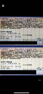 5月25日（土）阪神vs巨人　アイビーシート2連番