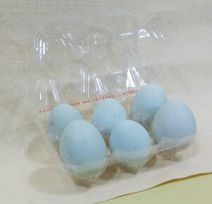 送料無料 卵販売 アローカナ 系ミックス雄雌 柵飼 放し飼い 平飼い 産みたて卵 有精卵 6個 食用 過熱用