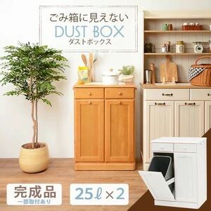 ダストボックス 幅59cm 25Lペール 2個付 キッチン キャスター ごみ箱