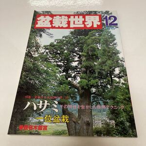 盆栽世界 1985年12月号 ハサミ その特性を生かした使い方と手入れ 北海道と長野県の一位盆栽