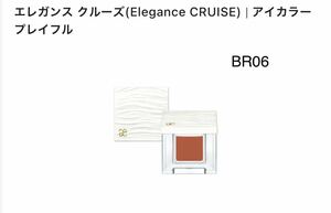 エレガンス　クルーズ アイカラー　プレイフル BR06 未開封　アイシャドウ