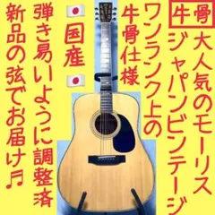 【国産★牛骨☆縦ロゴ】MORRIS！W-40【弾き易く調整☆新品弦】