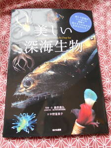 ★美しい深海生物 藤原 義弘 (写真), 中野 富美子 (著)★熱帯魚などの生き物が好きな方には面白い本です。オールカラーで図鑑みたいです★