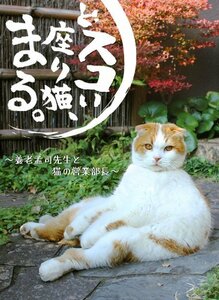 どスコい座り猫、まる。～養老孟司先生と猫の営業部長 [DVD]　(shin